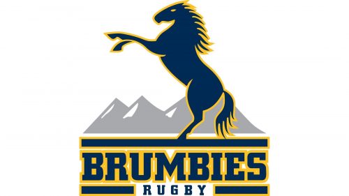 Brumbies Logo 