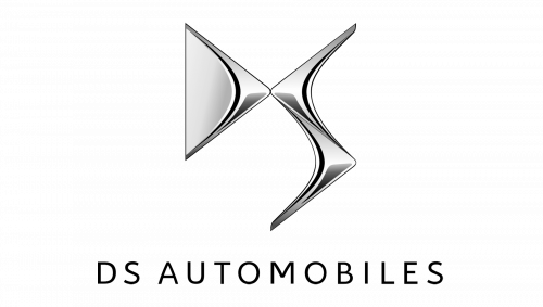 DS Logo-2009
