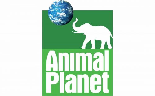Animal Planet Logo 2006