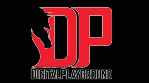 DigitalPlayground Logo