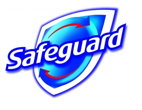 Safeguard Logo 2007