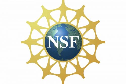 National Science Foundation logo 1999