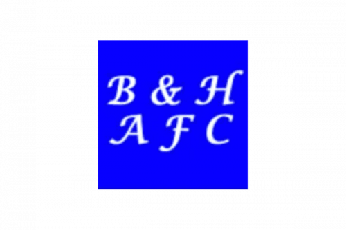 Brighton Hove Albion Logo 1970-1971