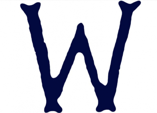 Minnesota Twins Logo 1907