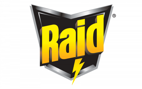 Raid Logo 1999