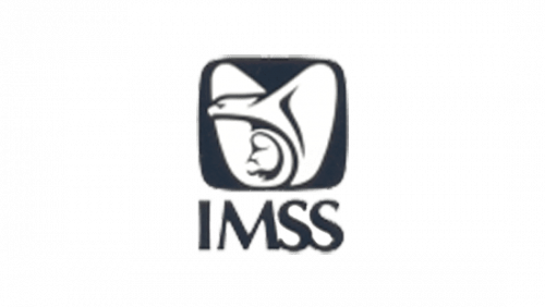 IMSS Logo 1983