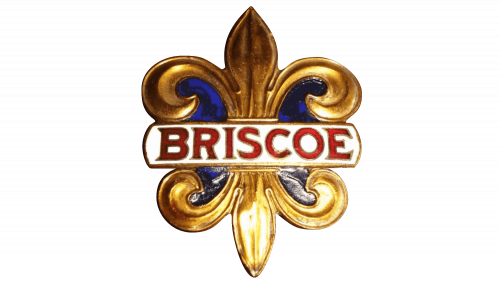 logo Briscoe