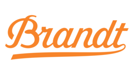 Brandt logo tumb