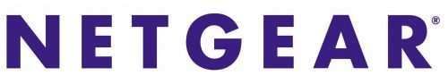 Netgear logo 1996