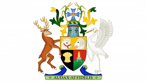 Logo Queensland Government
