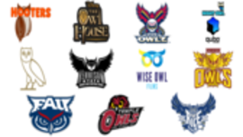 Most Famous Logos With an Owl tumb